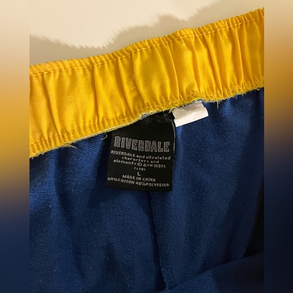 Hot Topic Riverdale Varsity Girls Cheer Soft Shorts Blue & Yellow - Picture 15 of 15